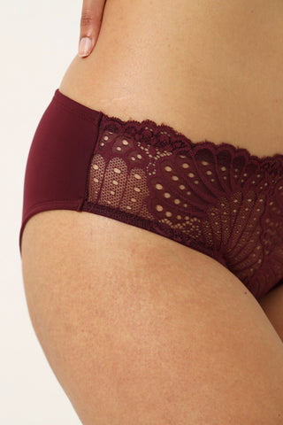 Twin pack Shell Lace Brazilian Panty - Burgundy